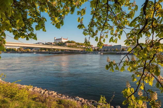 Donau, och Bratislava slott i bakgrunden, i Slovakien.