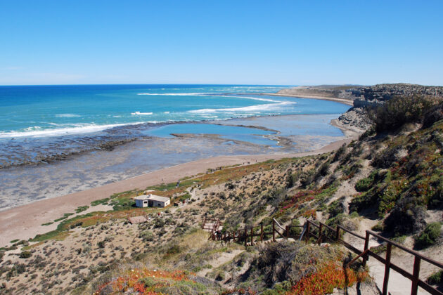 Nationalparken Peninsula Valdes i Argentina.