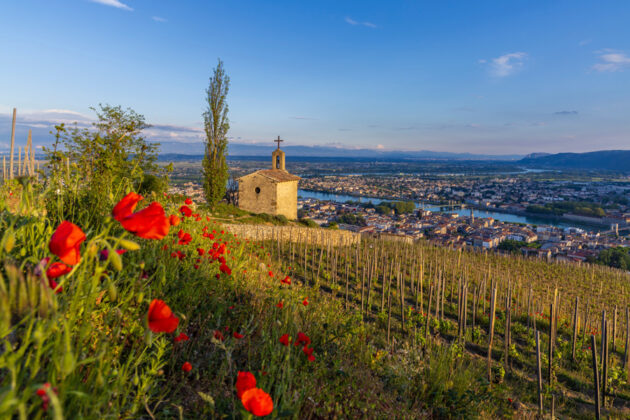 Utsikt från kullarna ovanför Tainl'Hermitage över Rhone mot den lilla staden Tournon