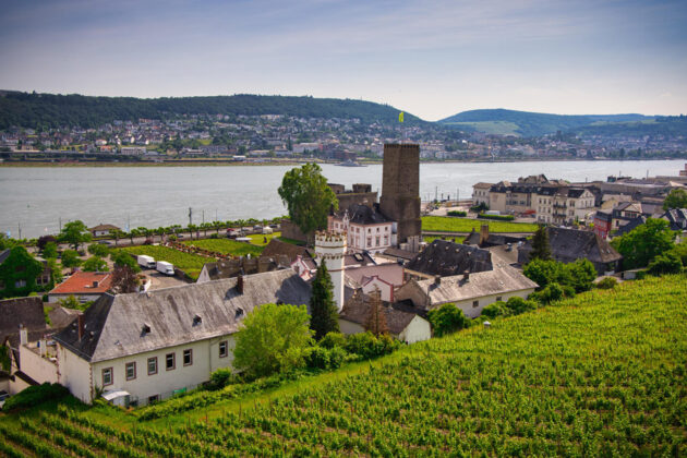 Lilla staden Rüdesheim vid floden Rhen i Tyskland.