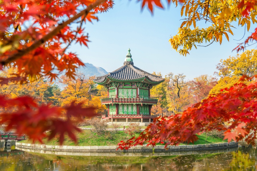 Höstfärger i Sydkoreansk park med tempel