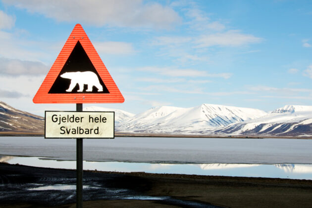 Vägskylt med varning för isbjörn på Svalbard