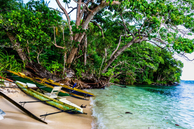 Traditionella båtar på en strand i Papua Nya Guinea.