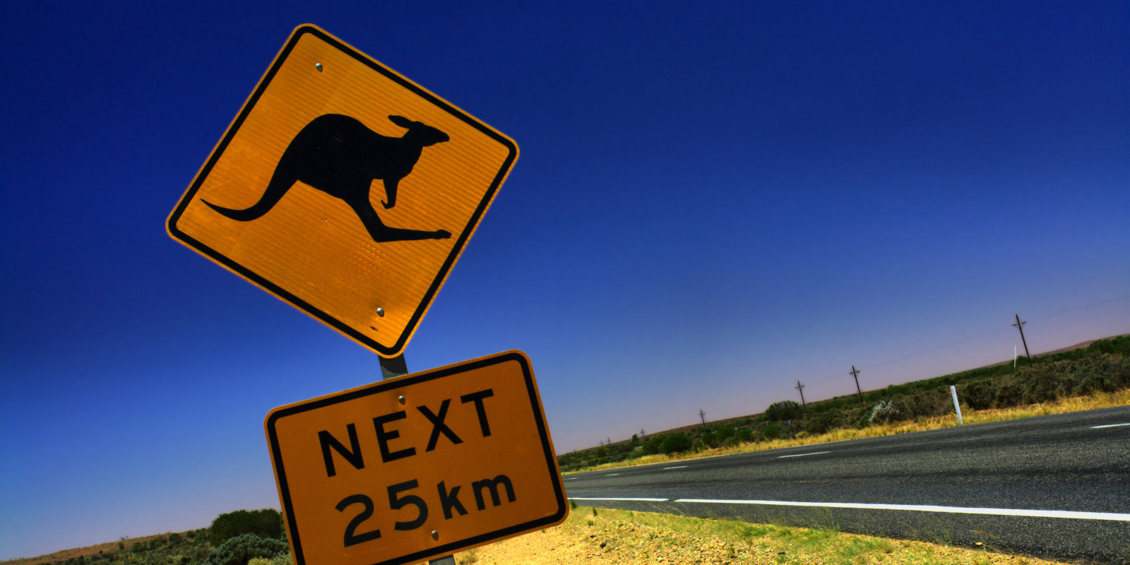 Trafikskylt som varnar för kängurus, i Australien.