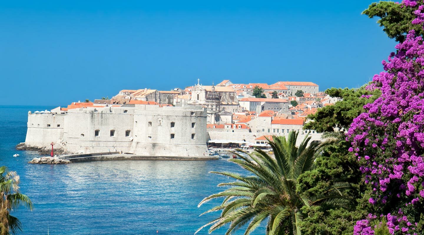 Utsikt över Dubrovnik i Kroatien, med vackra lila blommor i förgrunden.
