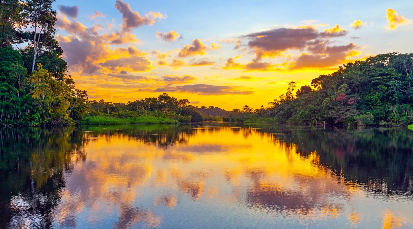 Magisk solnedgång i Amazonas regnskog, i Yasuni nationalpark.