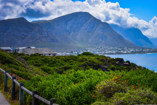 Kuststaden Hermanus i Sydafrika.