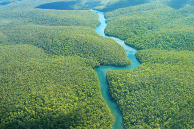 Amazonasfloden