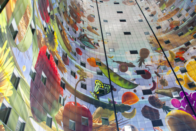 Markthal, Rotterdams saluhall
