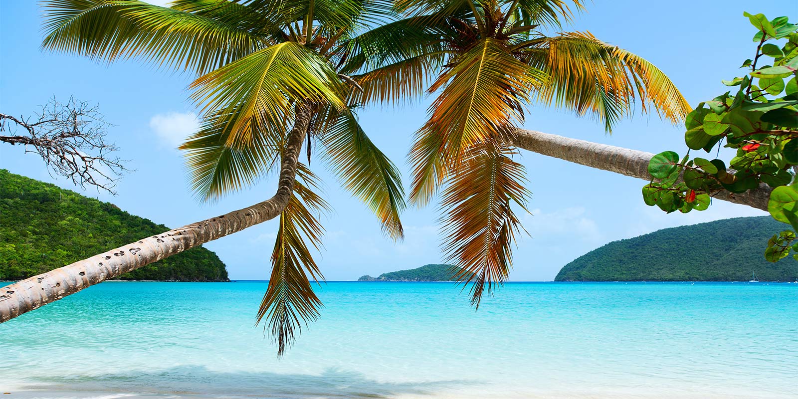 Strand, Karibien