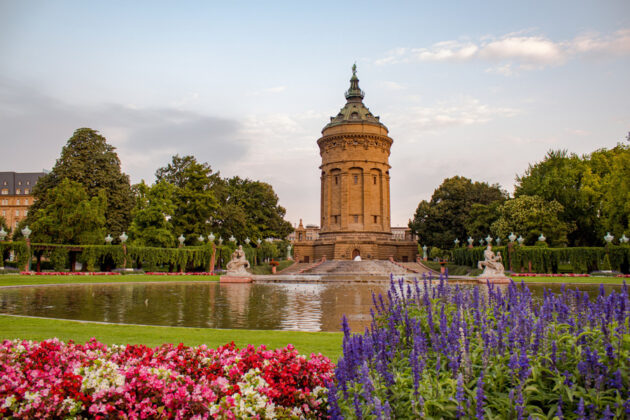 Blommor och en damm framför vattentornet i Mannheim
