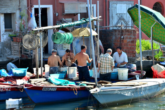 Små fiskebåtar i en kanal i Chioggia.